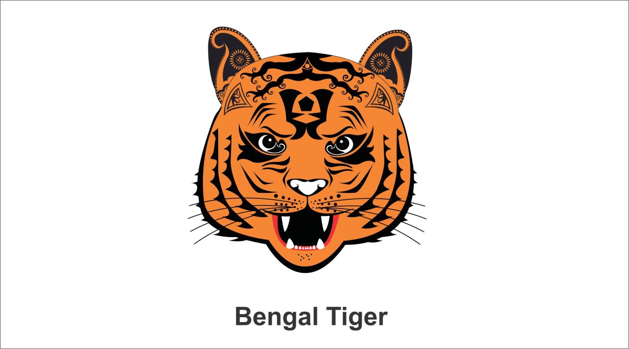 Royal Bengal Tiger | National animal of INDIA