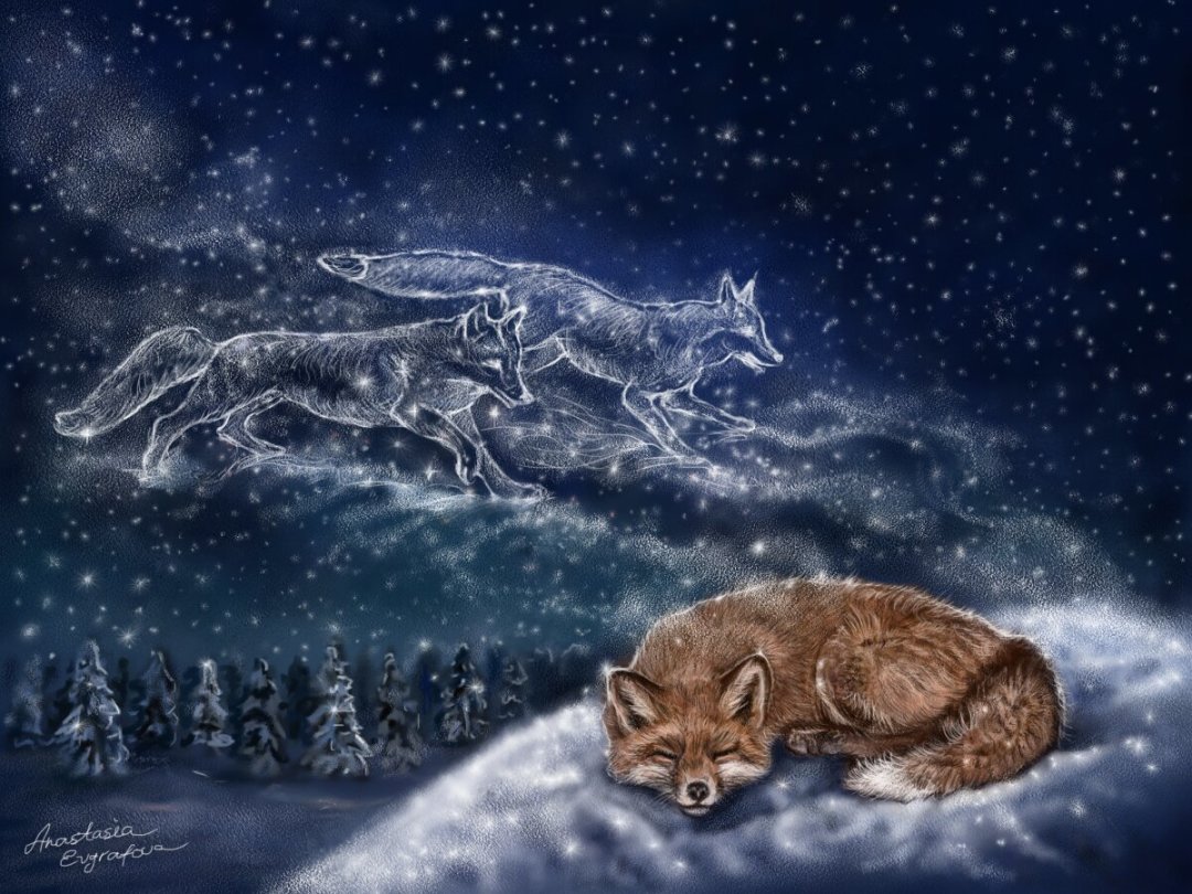 Спокойной ночи волк и лиса