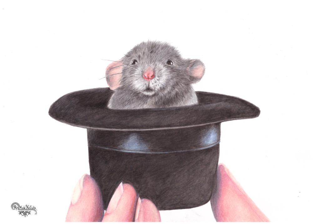 Мышки в кепке